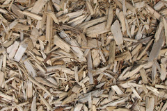 biomass boilers Gorsgoch